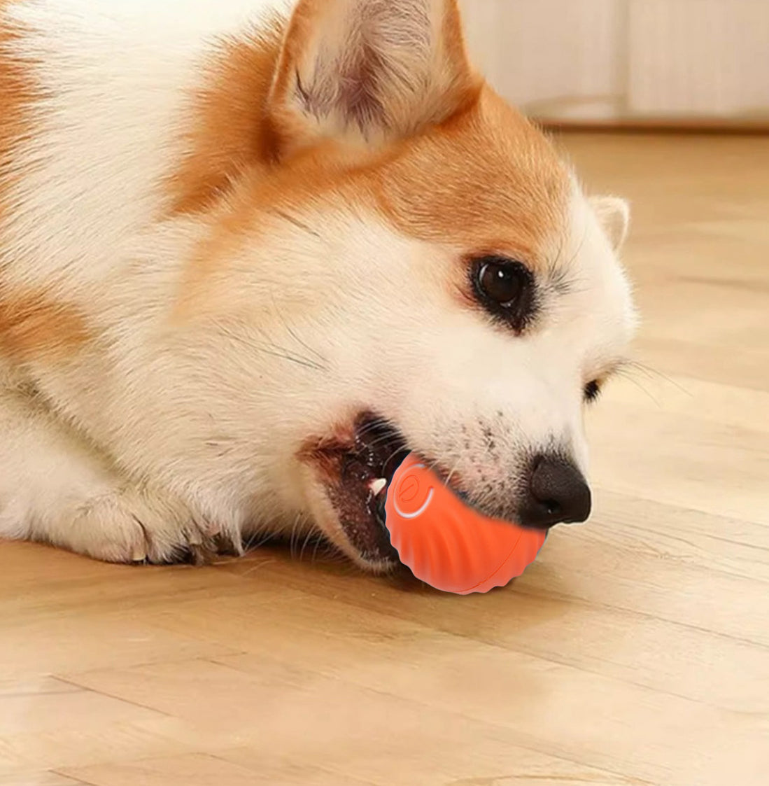 PELOTA INTELIGENTE PARA MASCOTAS