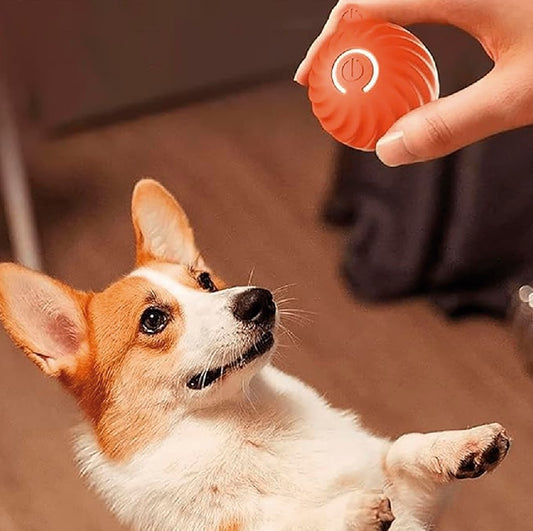 PELOTA INTELIGENTE PARA MASCOTAS