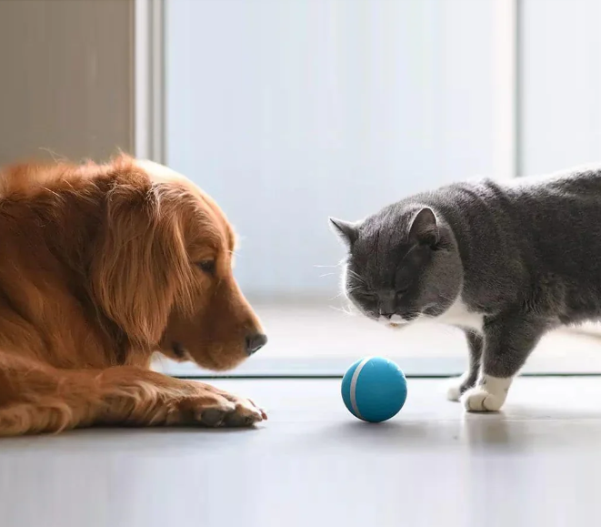 PELOTA INTELIGENTE PARA MASCOTAS