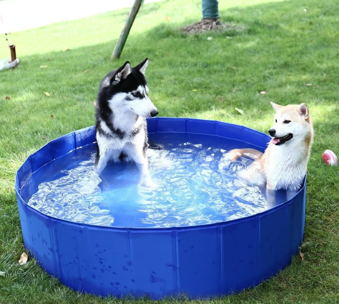 PISCINA PLEGABLE PARA MASCOTAS