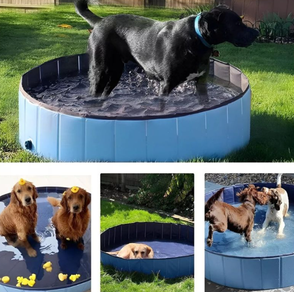 PISCINA PLEGABLE PARA MASCOTAS